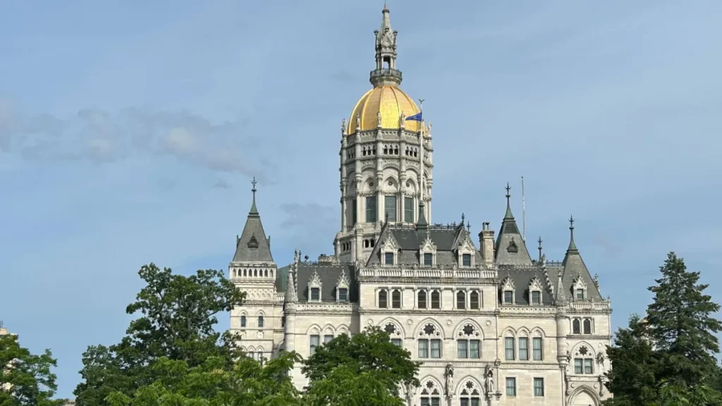 nonprofit investigatoin